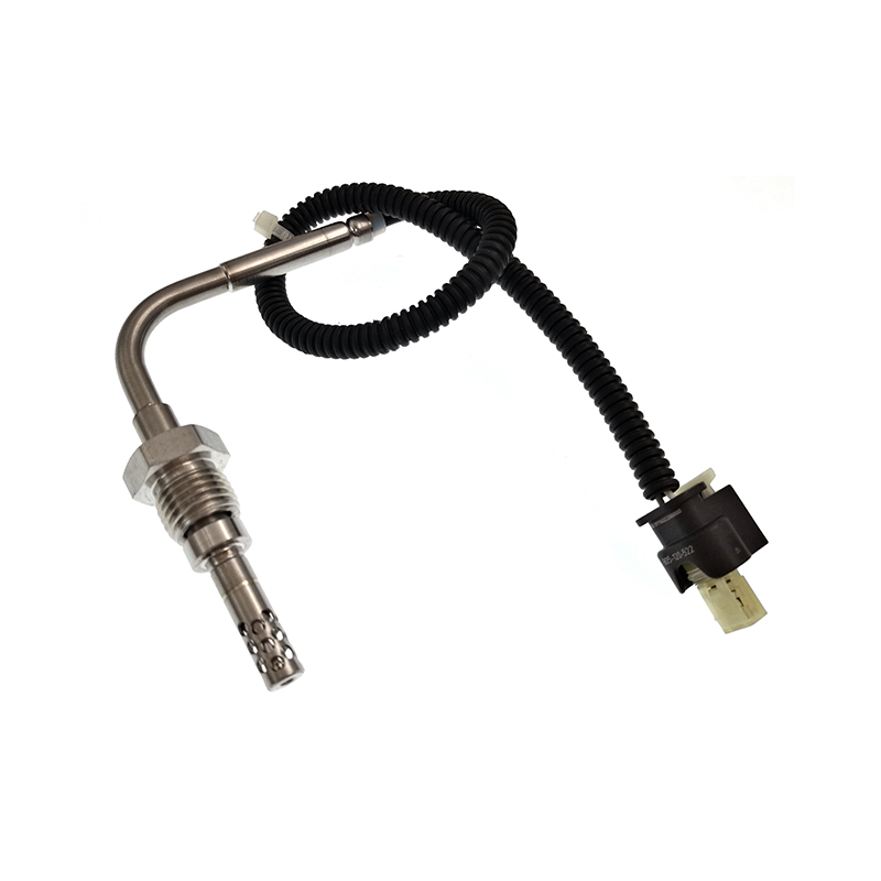 A0019050900,0019050900 Capteur PTC EGT