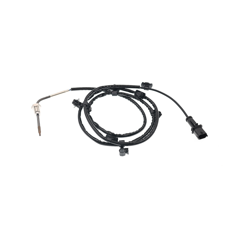 55588650,1247580 Capteur PTC EGT