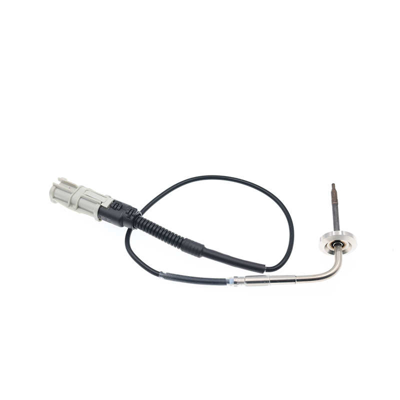 81274210252,81274210263,2v5261583 Capteur PTC EGT