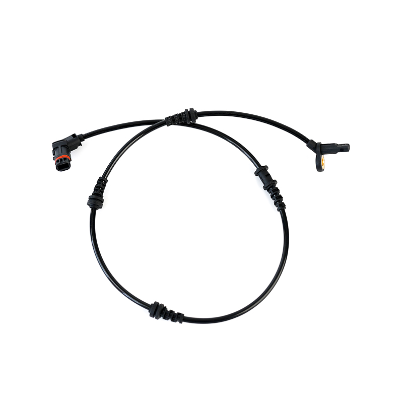 2514404937,2519055700,2515401117 Capteur ABS