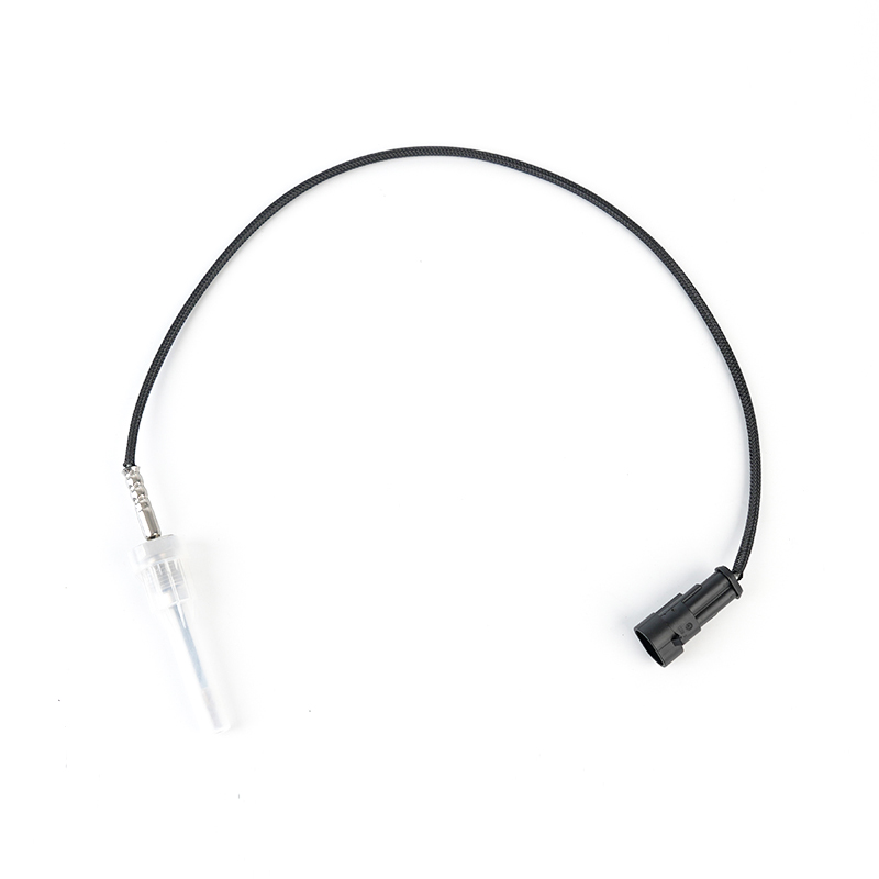 WG1034121033 Capteur PTC EGT