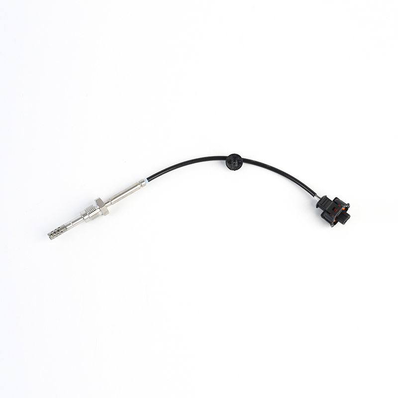 096436560,025183654,25183654 Capteur PTC EGT