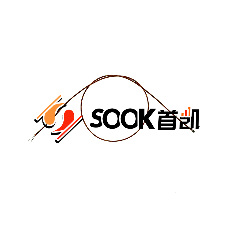 Capteur de température à thermocouple blindé de type K